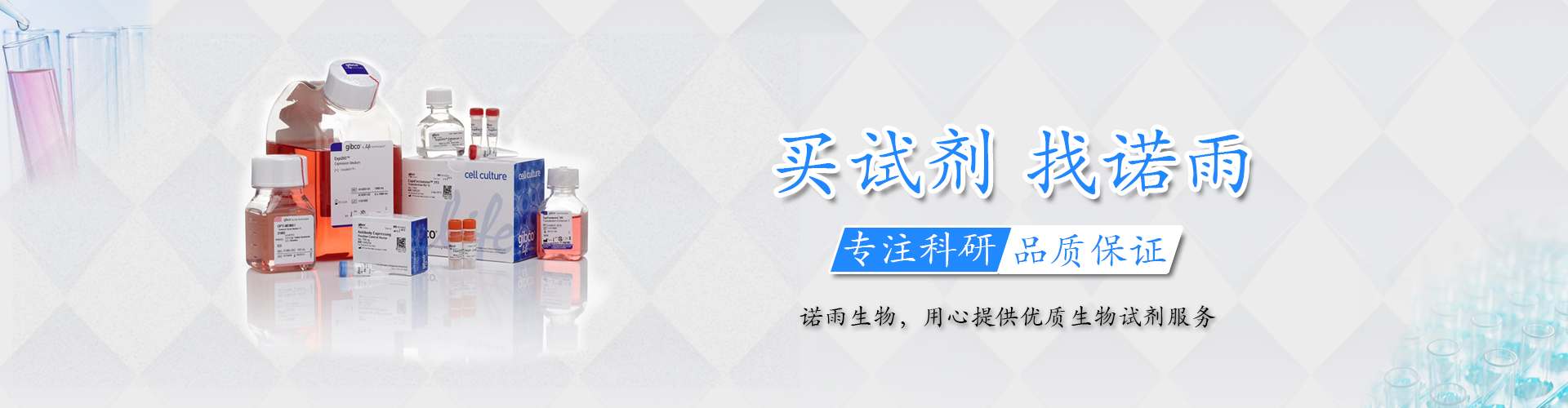 高质量转染试剂盒